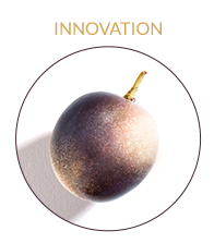 ingredient Vinergy